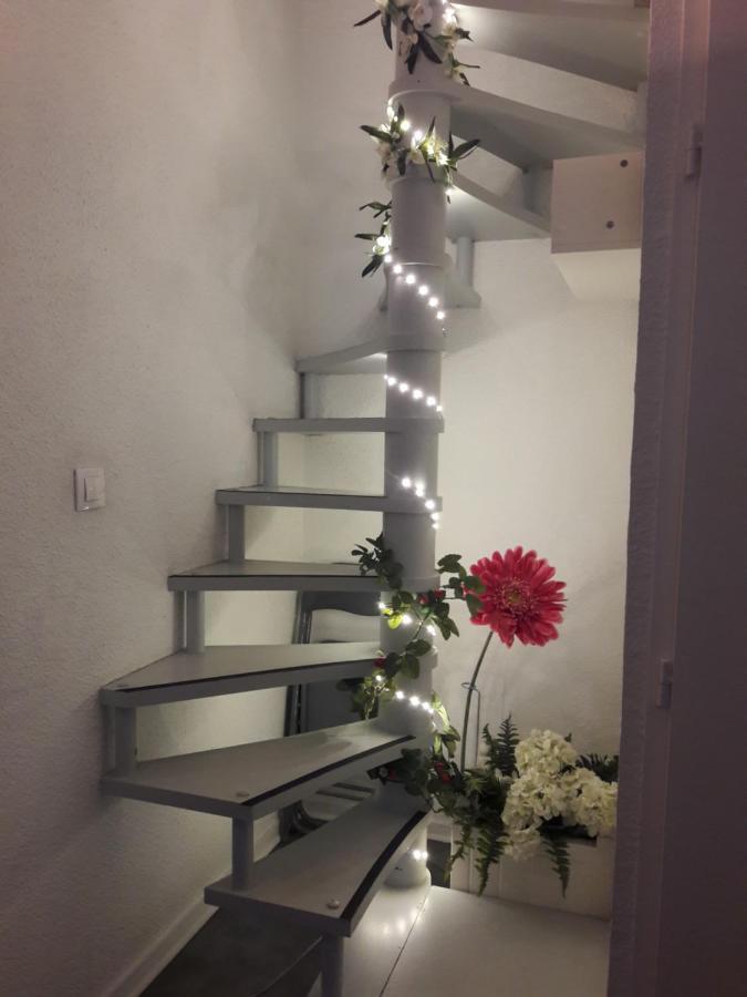 Apartment T1bis Duplex Hyper Centre Historique De Bx