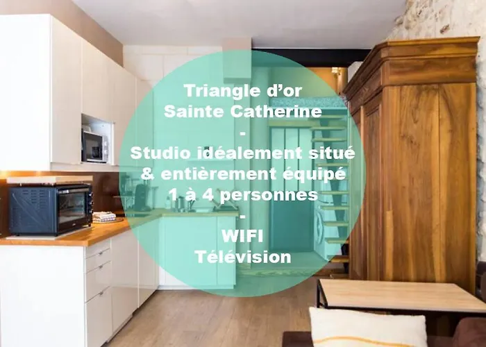 Charmant Studio - Triangle D\'Or A Bordeaux
