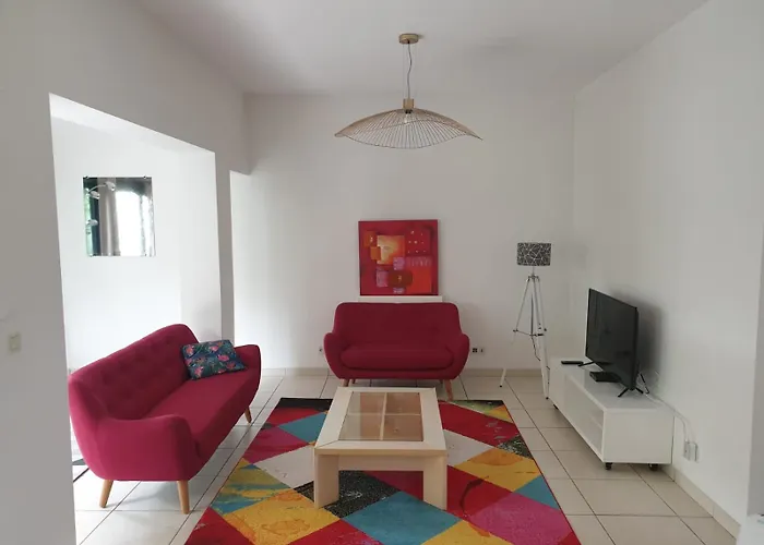 Maison 150M2 Jardin A Louer En Entier, Bordeaux Centre Chartrons, 3 Chambres 3 Salles De Bains 1 Canape-Lit Llllnumero De Telephone Dans L\'Annonce Si Questionlll