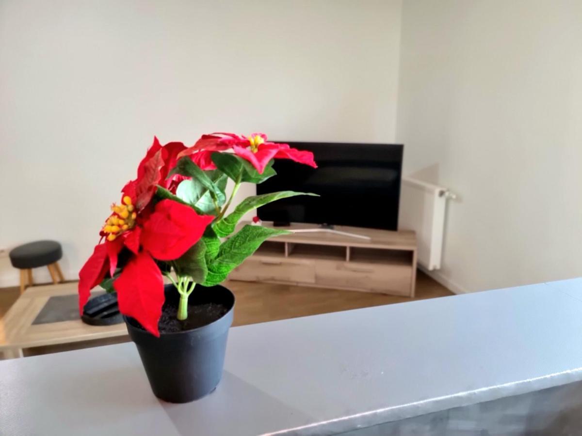 La Vie Aux Bassins Et Terrasse Privée Apartamento *
