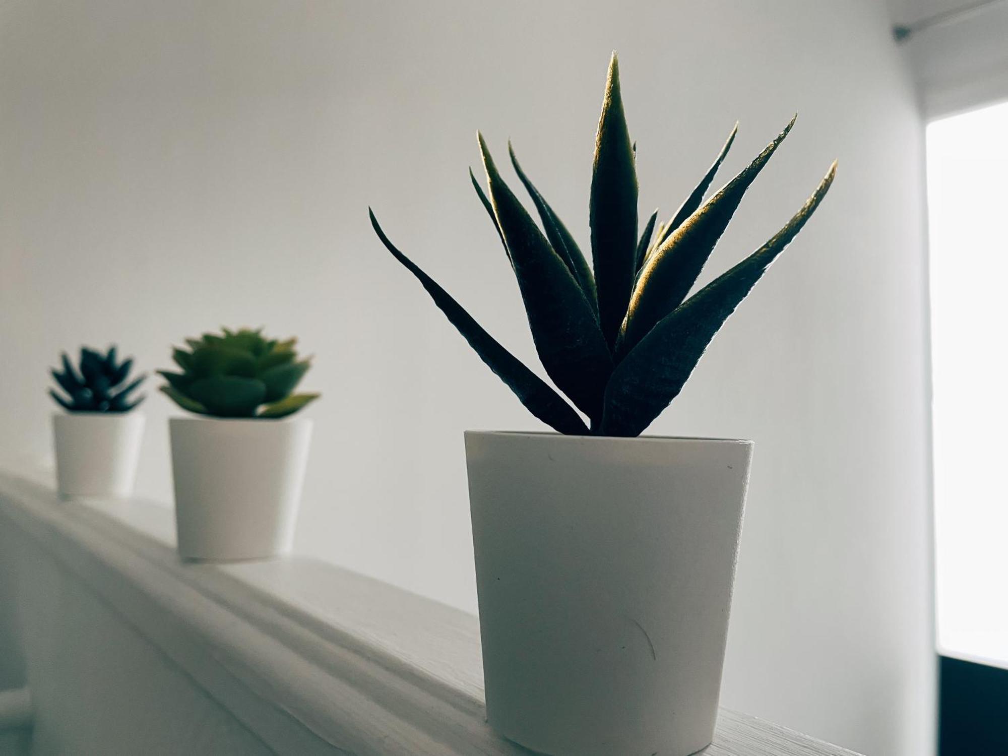 Respire Apartment