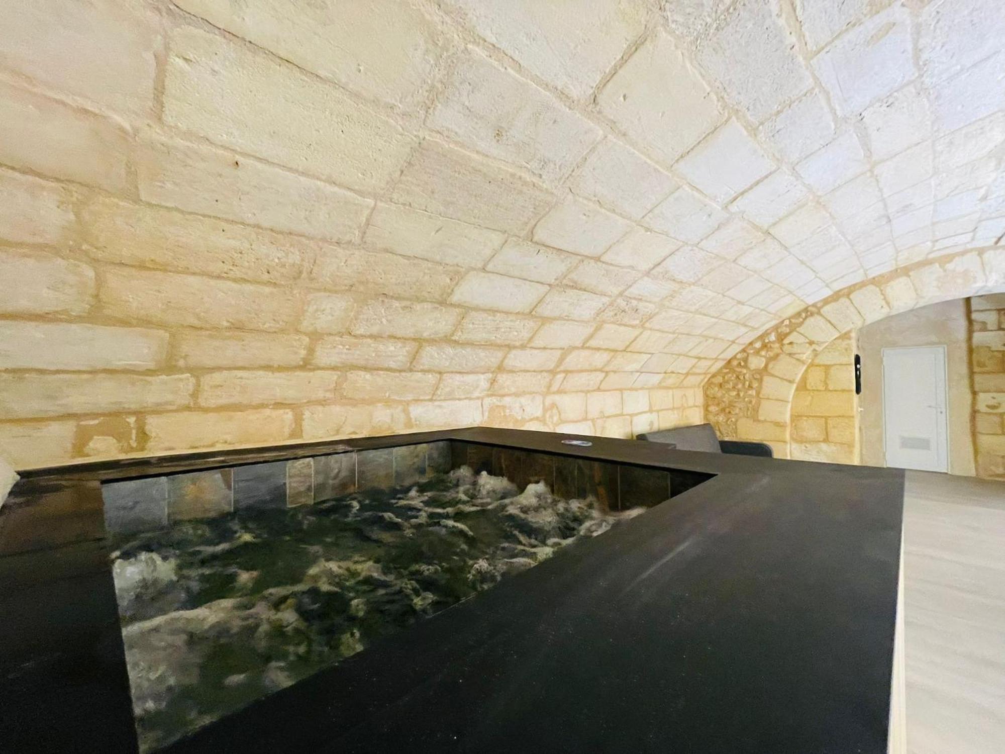 Apartment Loft Bordelais Bordeaux