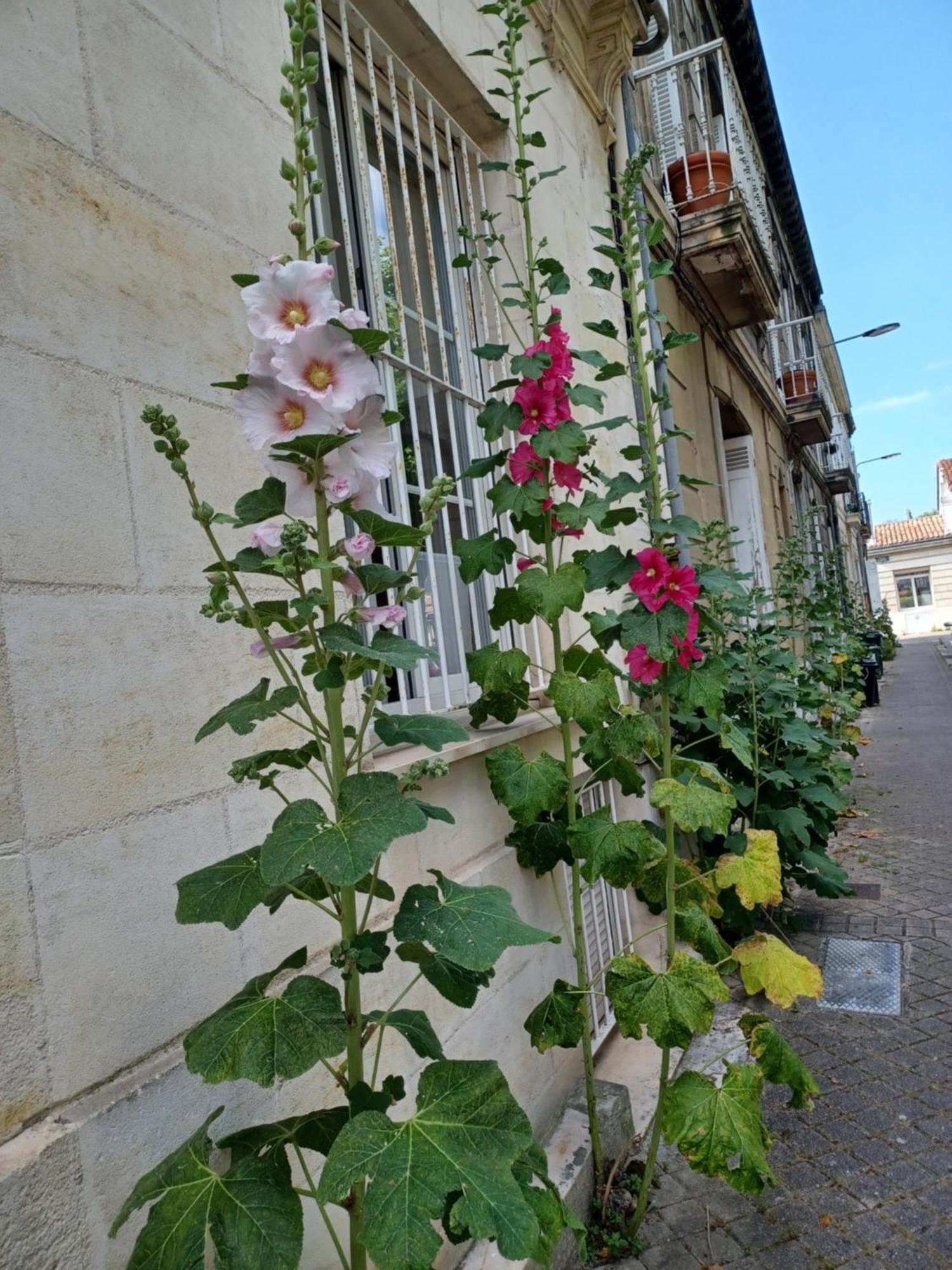 Holiday home L'echoppe Sur La Place Bordeaux