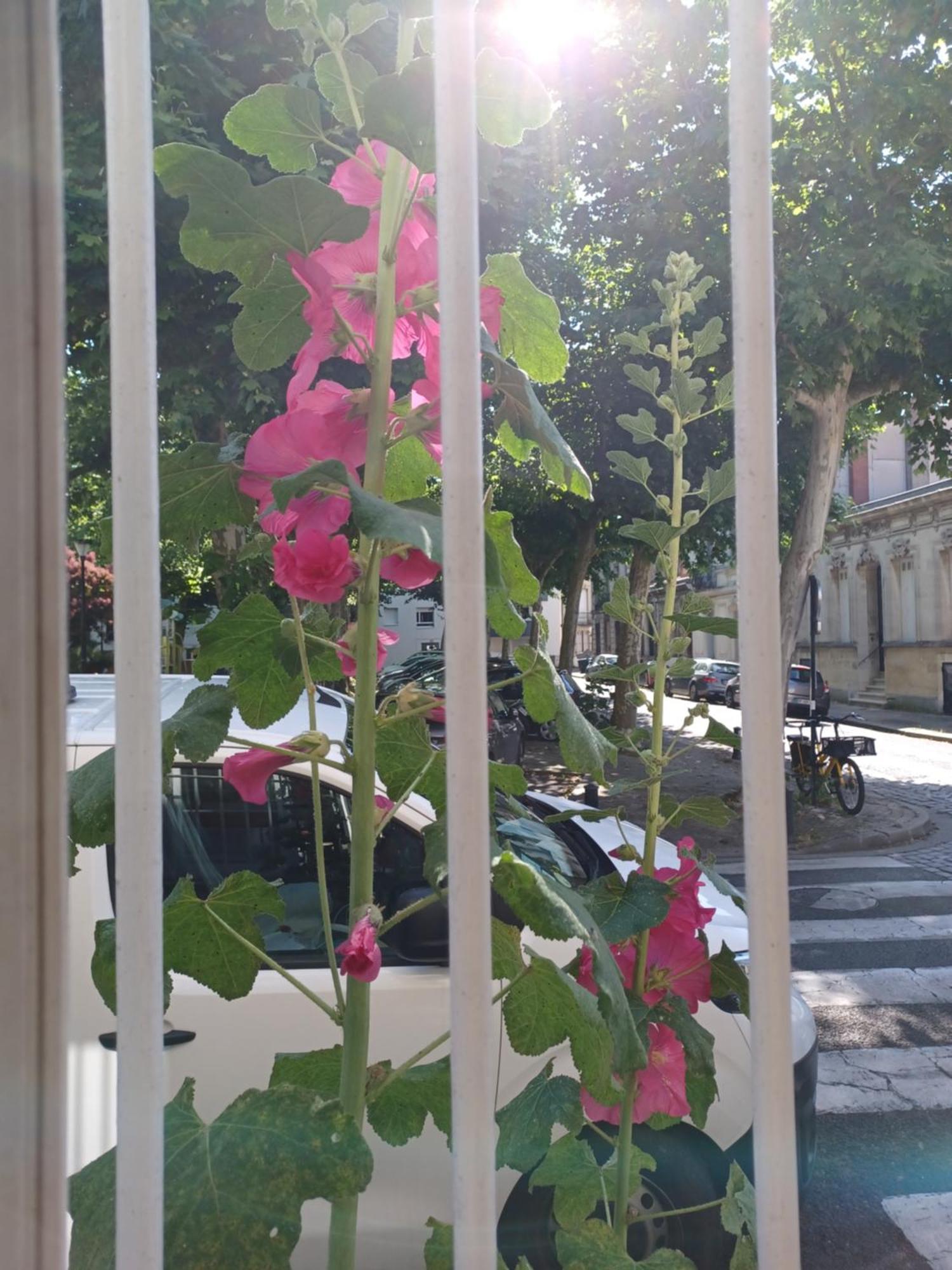 L'echoppe Sur La Place *
