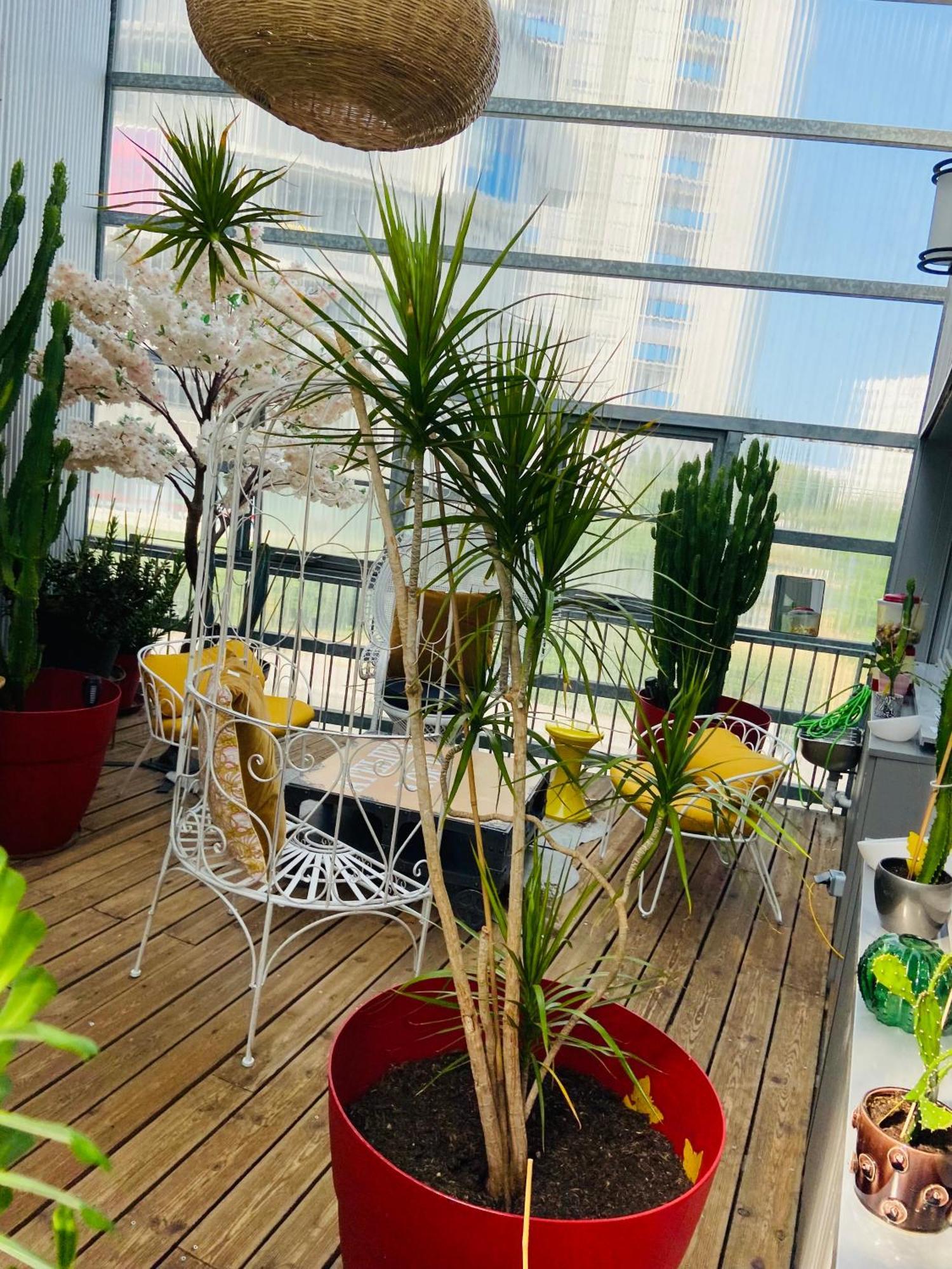 Loft Atypique13om2-salon De 40m2, Rooftop Et Patio Couvert Dep Tardif 13h-pkg Appartement *